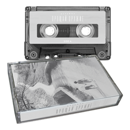 Прощай оружие МС 10049